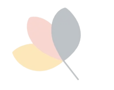 Bloom - individualne i grupne poduke engleskog za osnovnoškolce, individualne poduke hrvatskog za strance te Neurolanguage coaching® — Zadar ili online.