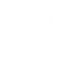 Bloom - individualne i grupne poduke engleskog za osnovnoškolce, individualne poduke hrvatskog za strance te Neurolanguage coaching® — Zadar ili online.