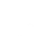 Bloom - individualne i grupne poduke engleskog za osnovnoškolce, individualne poduke hrvatskog za strance te Neurolanguage coaching® — Zadar ili online.